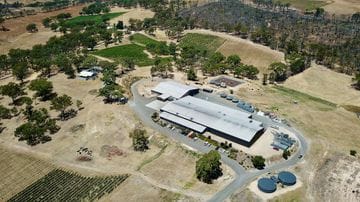 South Aussie Family Business Takes Over Iconic Woodside Winery